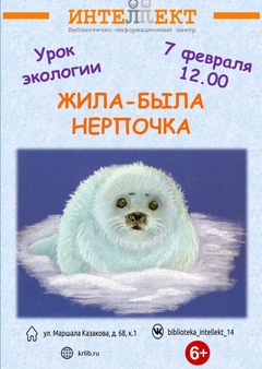 7 февраля 12:00