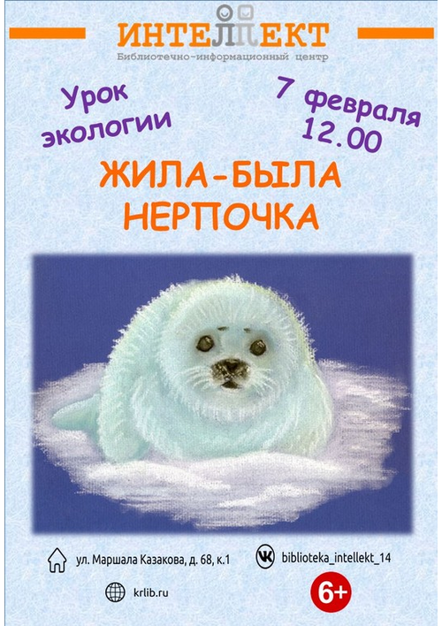 7 февраля 12:00