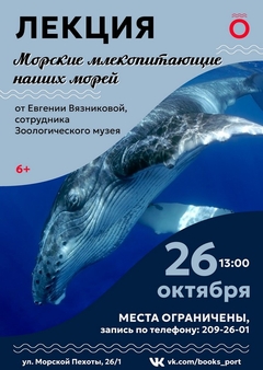 26 октября 13:00 26 октября 13:00