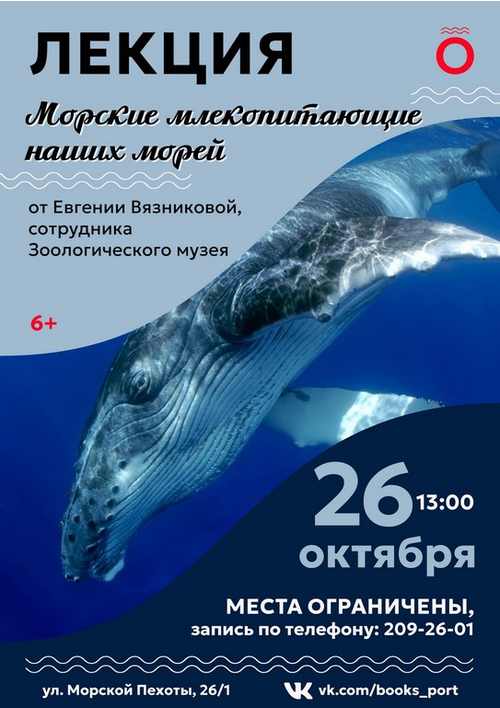 26 октября 13:00 26 октября 13:00